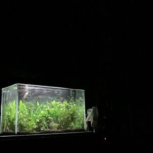 Meet your Posher, Loui